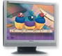 LCD Flat Panel Displays